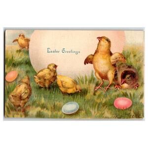 Antique Easter Greetings Postcard Chicks Eggs Divided Back Early 1900s